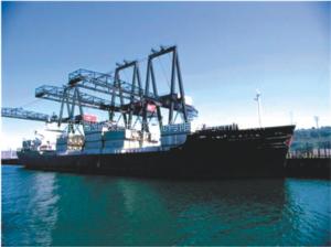China Cheap Air/Ocean Freight from Xiamen to NHAVA SHEVA on sale 
