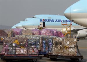 China 7X24 Hours Air Freight Forwarder , Air Shipping From China To Canada USA on sale 