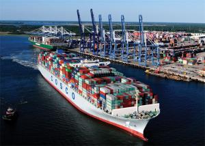 China NVOCC Ocean Freight Forwarder , Sea Freight From China To Dubai on sale 